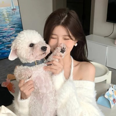 落水狗 在线观看