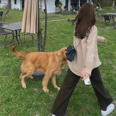 最后一个男人第三季 在线观看