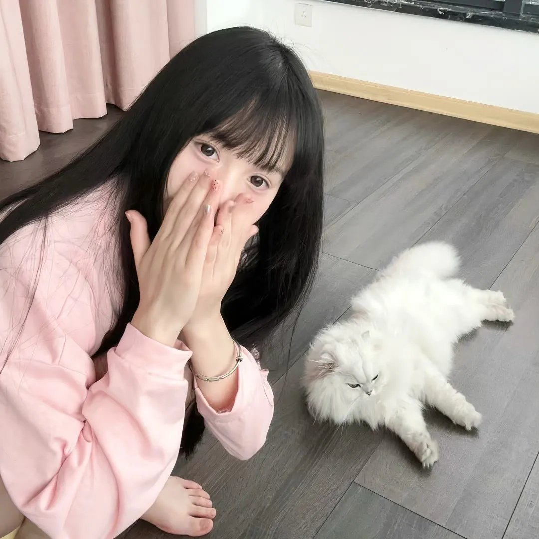 甲午 在线观看